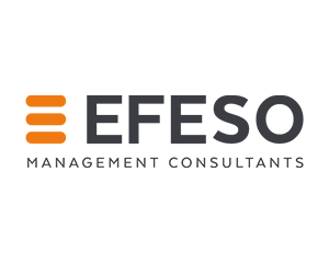 EFESO CONSULTING